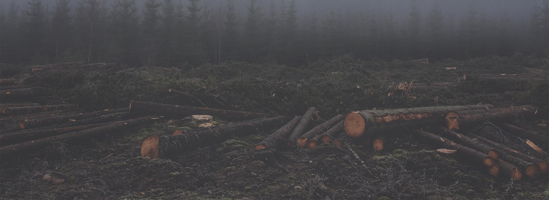 Pages – WP Gallery Styles